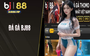 Đá Gà BJ88